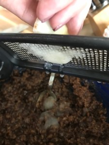 AED97DEC-A1A0-433C-AF0A-F1D392CC3B86